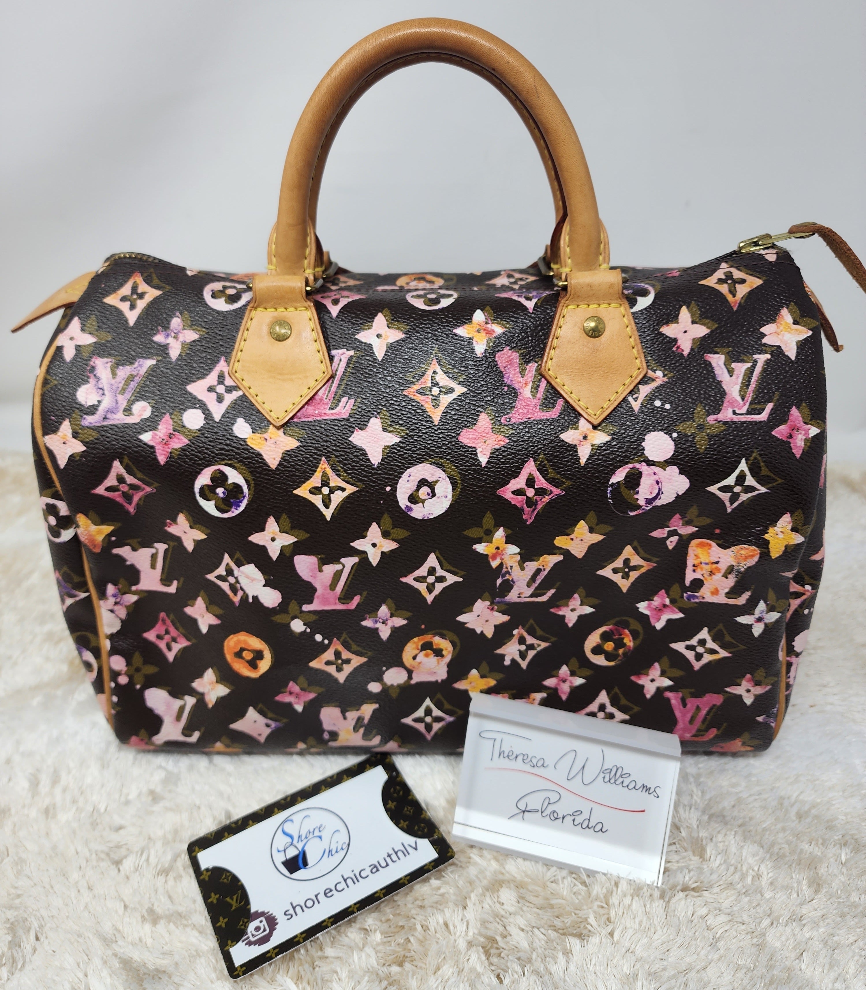 LOUIS VUITTON LIMITED EDITION WATERCOLOR SPEEDY 30 – Shore Chic