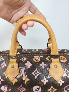 LOUIS VUITTON LIMITED EDITION WATERCOLOR SPEEDY 30