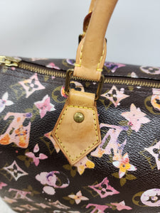 LOUIS VUITTON LIMITED EDITION WATERCOLOR SPEEDY 30