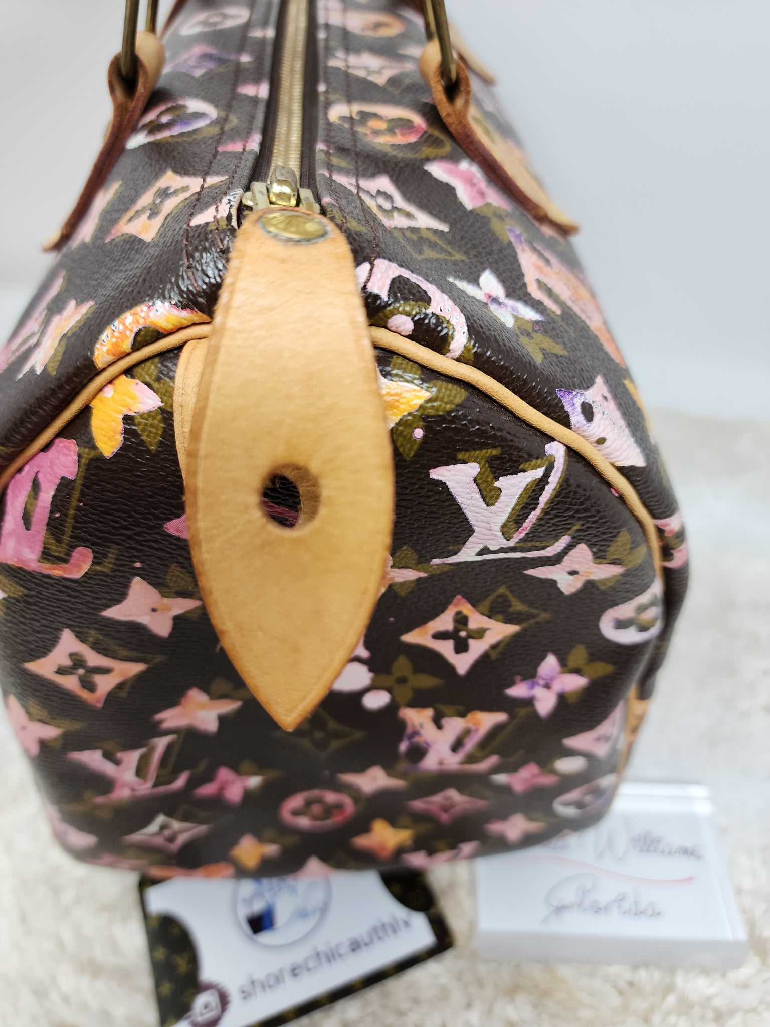 Louis Vuitton Limited Edition Watercolor Speedy at 1stDibs