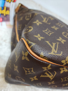 LOUIS VUITTON MONOGRAM DELIGHTFUL MM