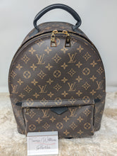 LOUIS VUITTON MONOGRAM PALM SPRINGS MM BACKPACK