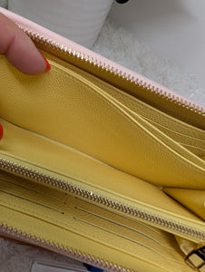 LOUIS VUITTON LIMITED EDITION SPRING IN THE CITY ZIPPY WALLET