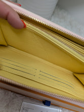 LOUIS VUITTON LIMITED EDITION SPRING IN THE CITY ZIPPY WALLET