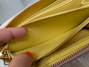 LOUIS VUITTON LIMITED EDITION SPRING IN THE CITY ZIPPY WALLET