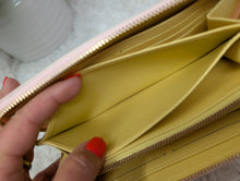 LOUIS VUITTON LIMITED EDITION SPRING IN THE CITY ZIPPY WALLET