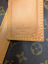 LOUIS VUITTON MONOGRAM SAC CHIEN 40 PET CARRIER