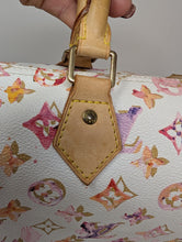 LOUIS VUITTON LIMITED EDITION WATERCOLOR SPEEDY 35