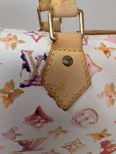 LOUIS VUITTON LIMITED EDITION WATERCOLOR SPEEDY 35