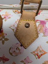 LOUIS VUITTON LIMITED EDITION WATERCOLOR SPEEDY 35