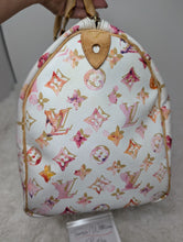 LOUIS VUITTON LIMITED EDITION WATERCOLOR SPEEDY 35