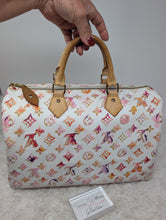 LOUIS VUITTON LIMITED EDITION WATERCOLOR SPEEDY 35