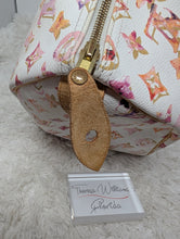 LOUIS VUITTON LIMITED EDITION WATERCOLOR SPEEDY 35