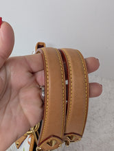 LOUIS VUITTON MURAKAMI MULTICOLOR ANNIE MM