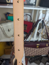 LOUIS VUITTON MURAKAMI WHITE MULTICOLOR CARRYALL PM